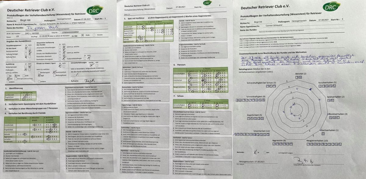 06.08.21 - Wesenstest bei Birgit Hilt